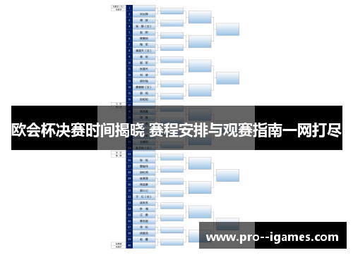 欧会杯决赛时间揭晓 赛程安排与观赛指南一网打尽