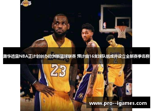 萧华透露NBA正计划创办欧洲新篮球联赛 预计由16支球队组成并设立全新赛季名称 萧华透露NBA正计划创办欧洲新篮球联赛 预计由16支球队组成并设立全新赛季名称