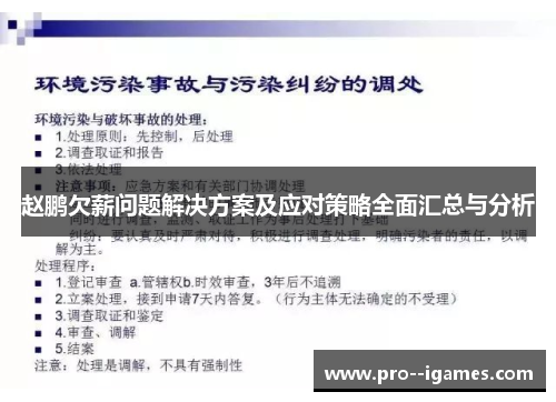 赵鹏欠薪问题解决方案及应对策略全面汇总与分析 赵鹏欠薪问题解决方案及应对策略全面汇总与分析