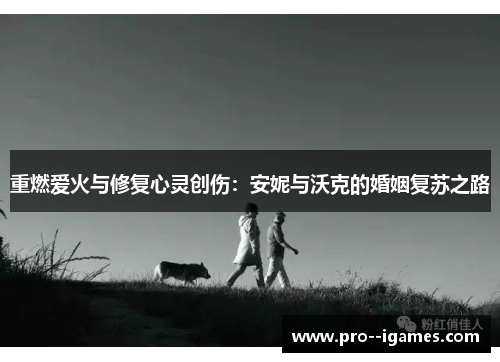 重燃爱火与修复心灵创伤:安妮与沃克的婚姻复苏之路 重燃爱火与修复心灵创伤:安妮与沃克的婚姻复苏之路