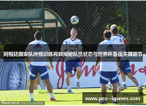 阿根廷国家队终极训练视频揭秘队员状态与世界杯备战关键细节
